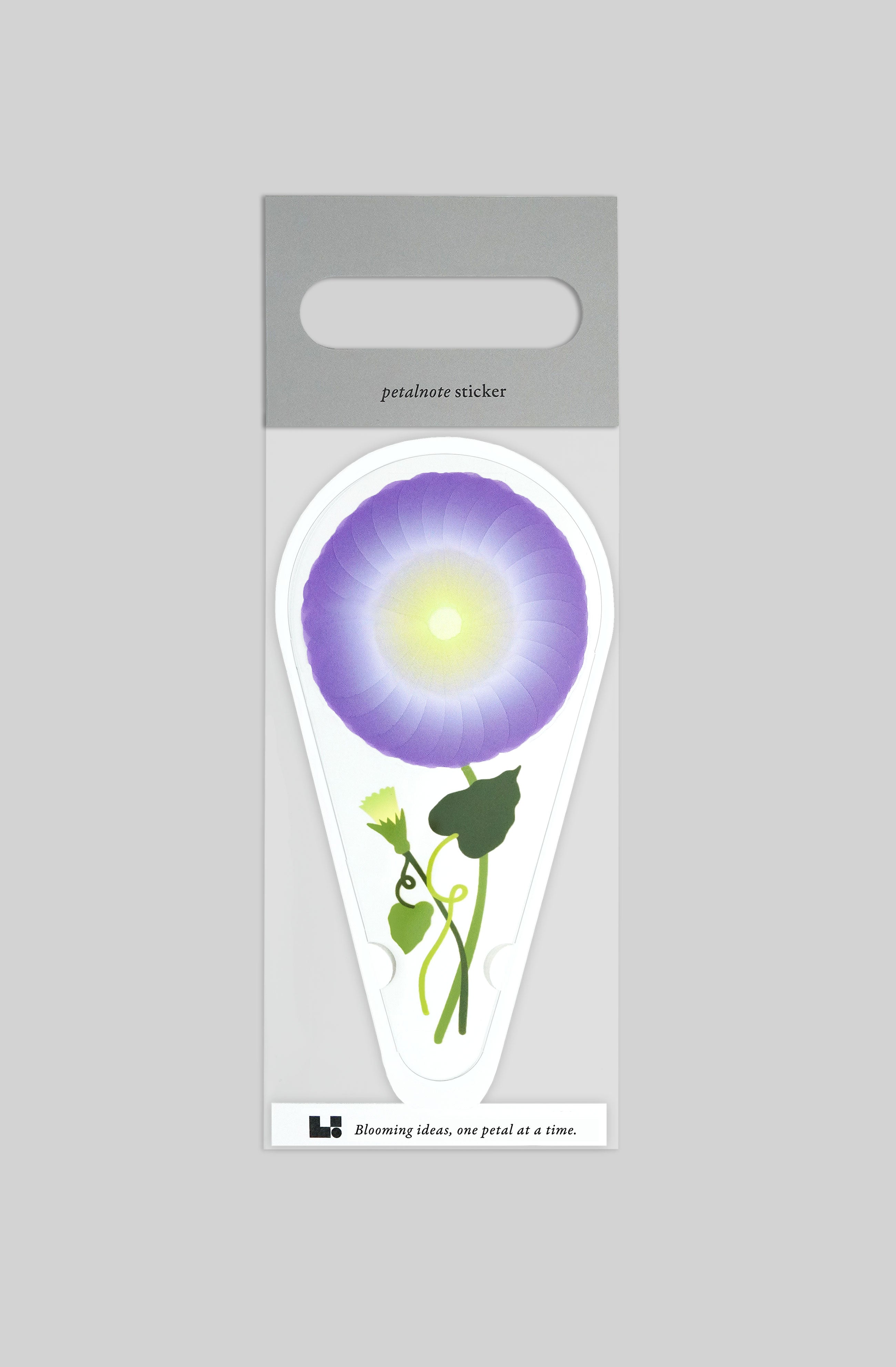 PETALNOTE — MORNING GLORY