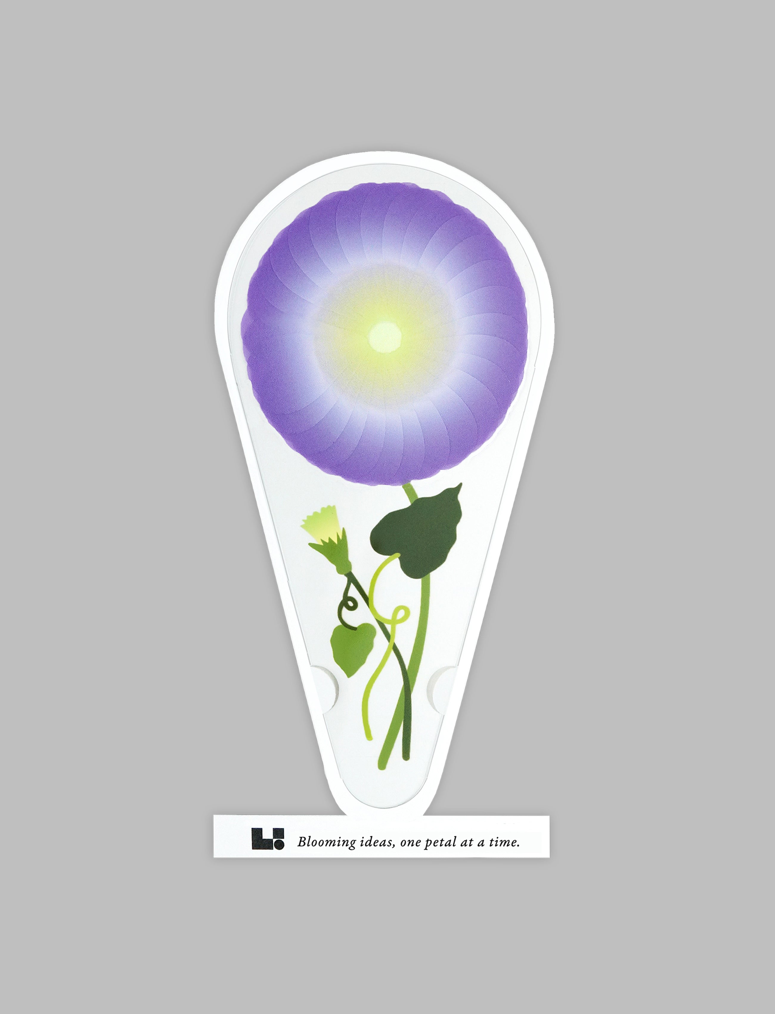 PETALNOTE — MORNING GLORY