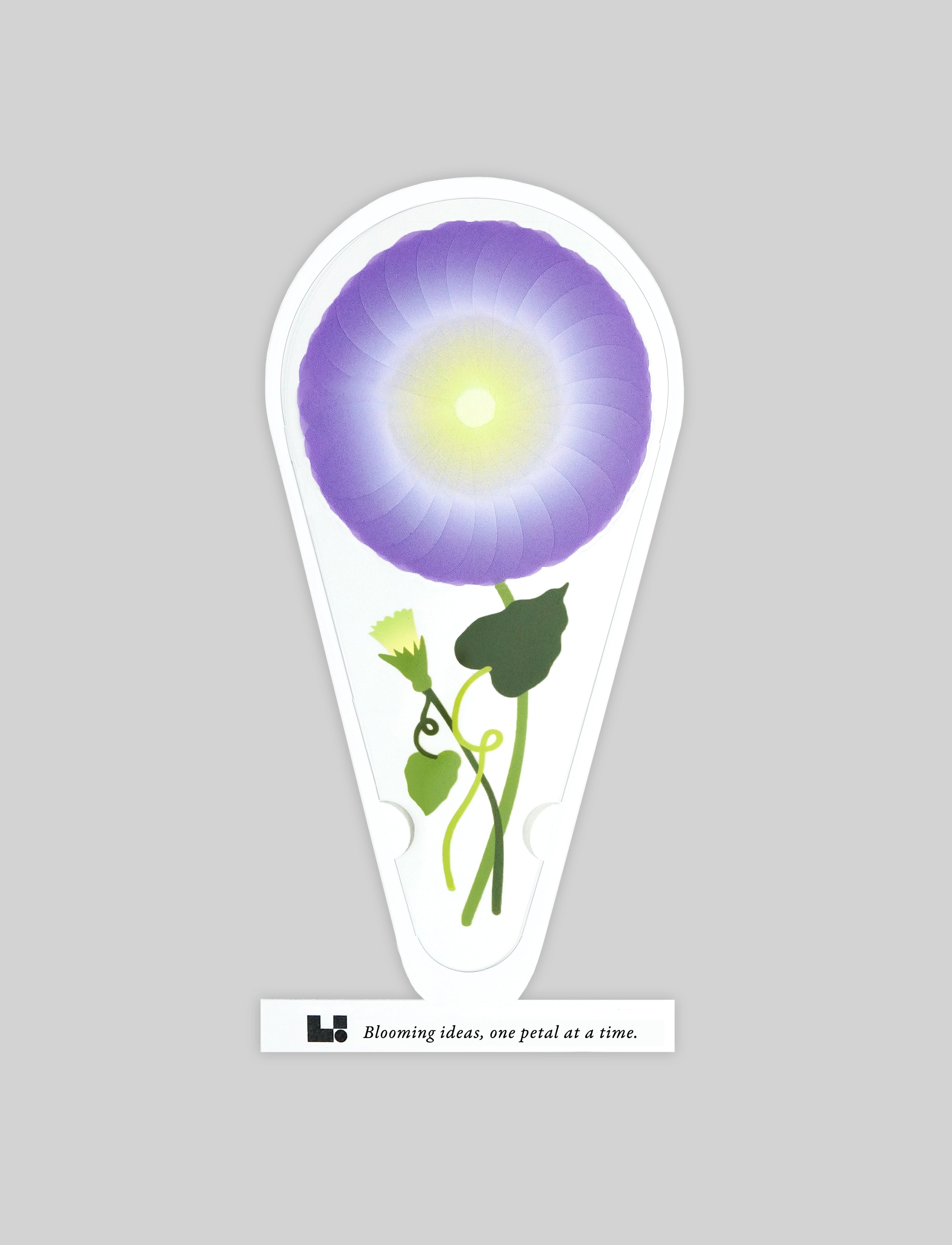 PETALNOTE — MORNING GLORY