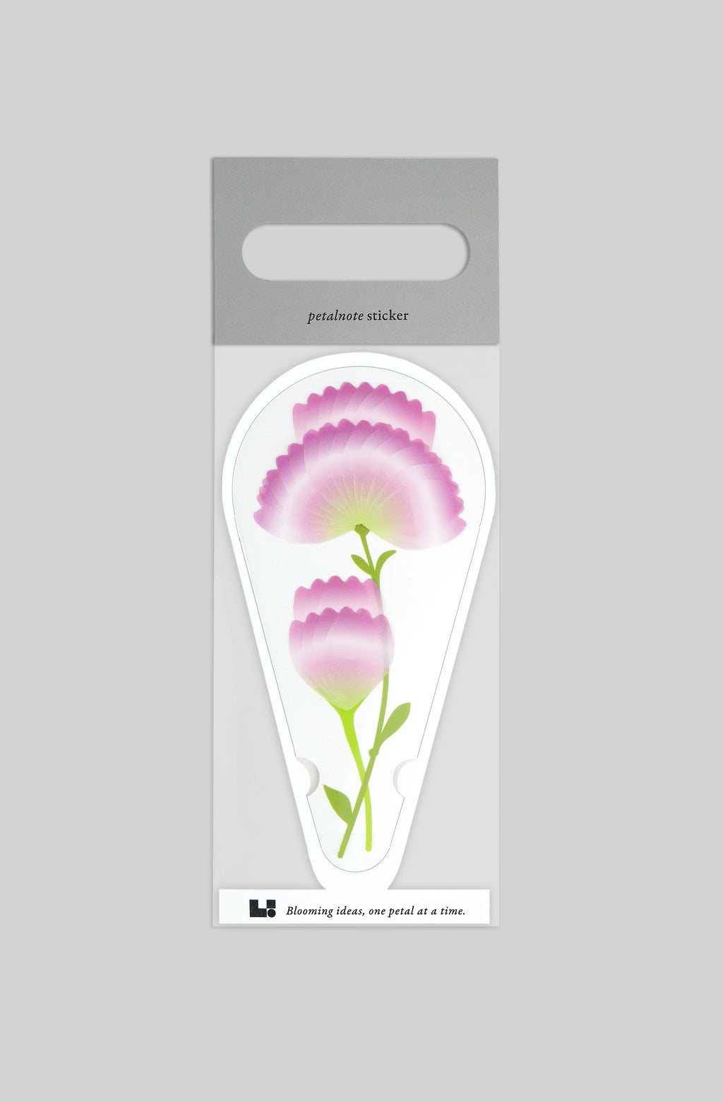 PETALNOTE — CARNATION