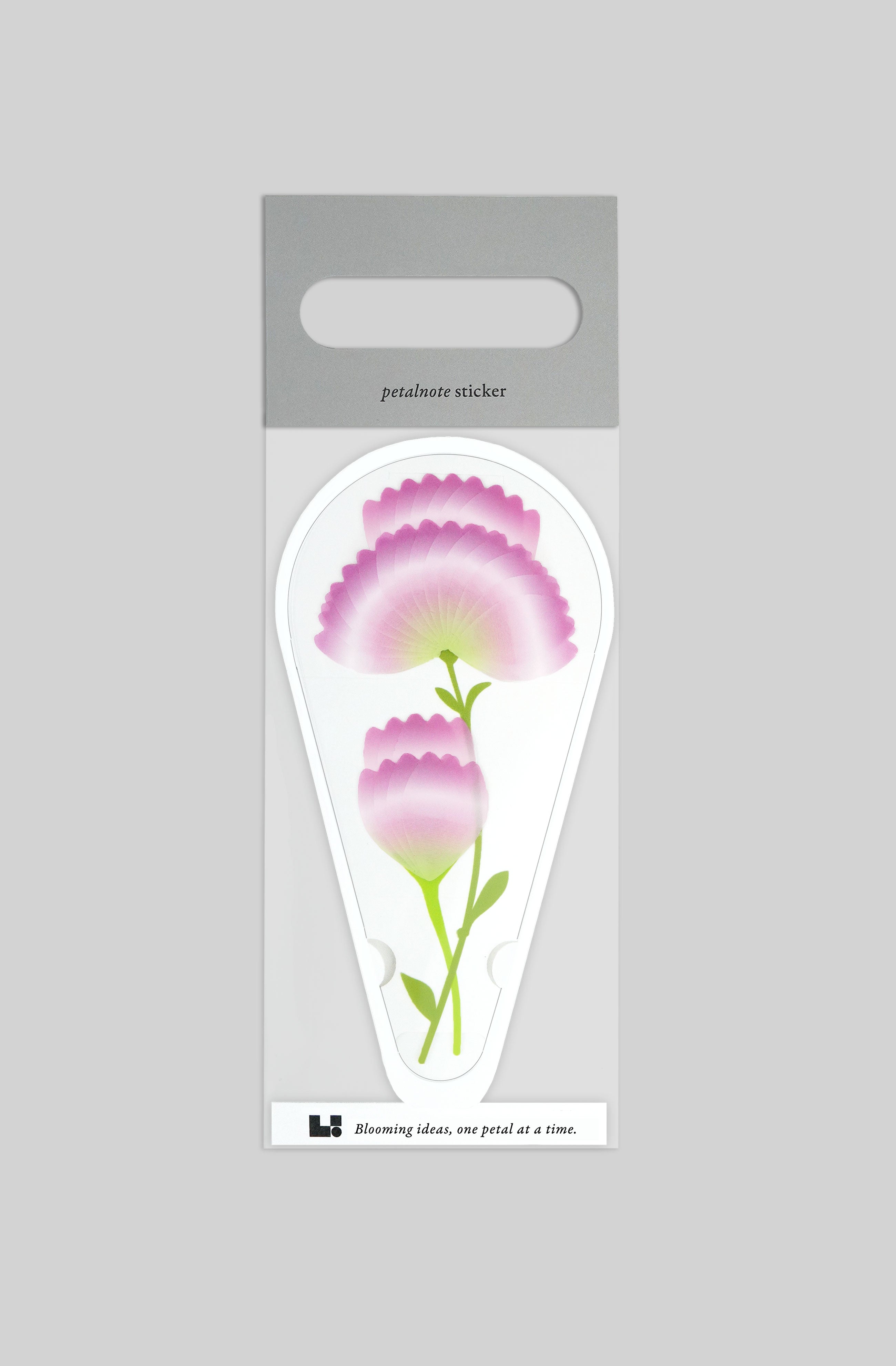 PETALNOTE — CARNATION