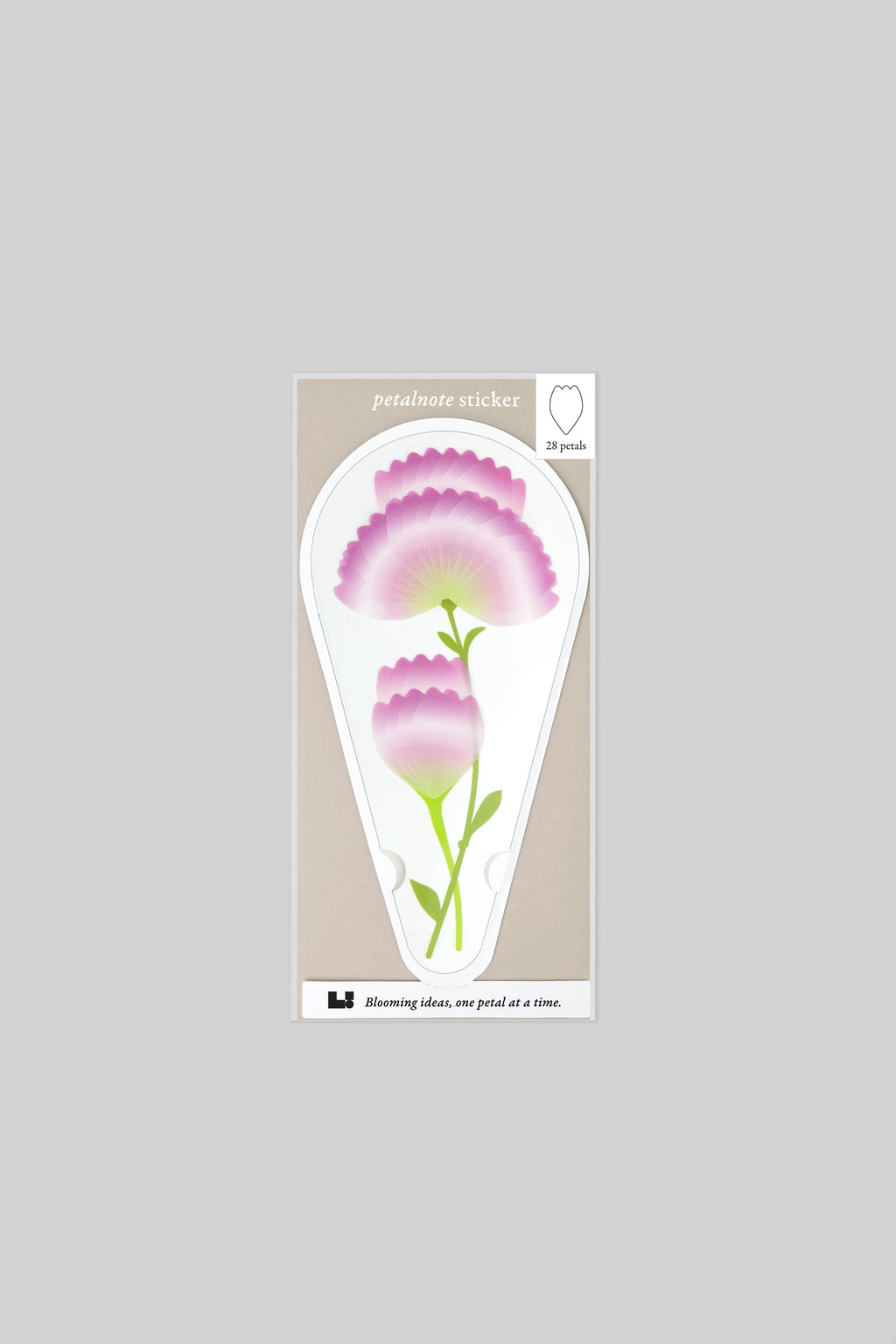 PETALNOTE — CARNATION
