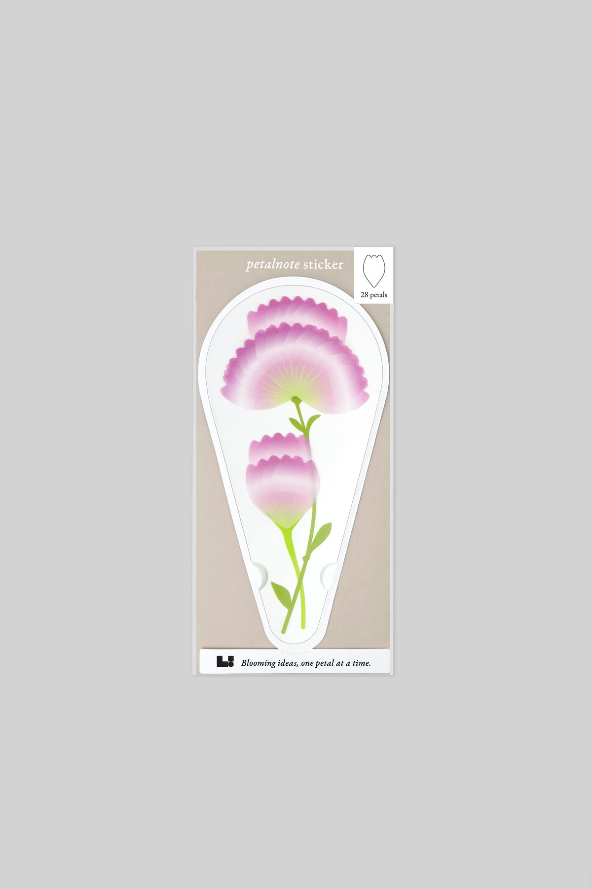 PETALNOTE — CARNATION