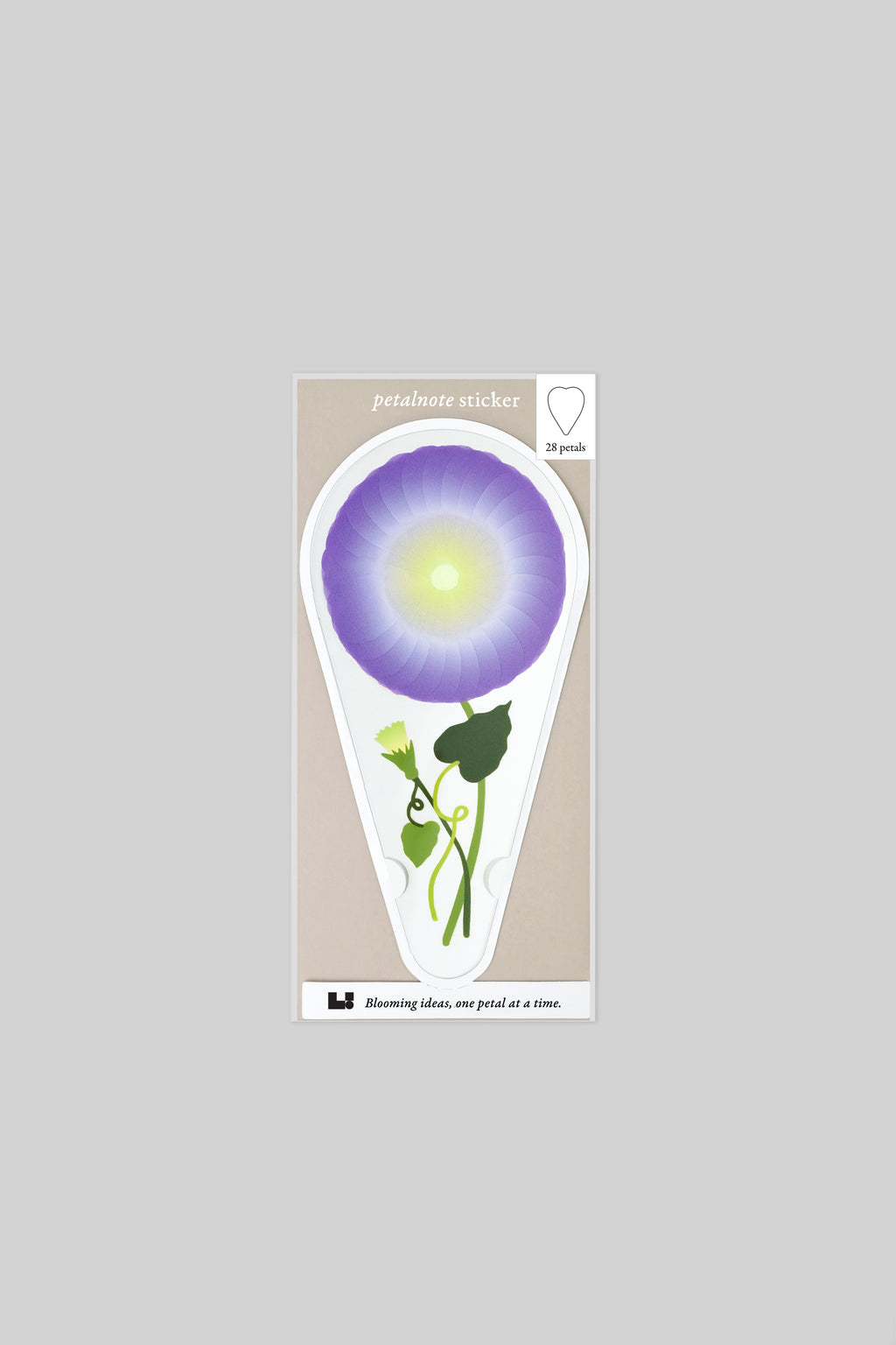 PETALNOTE — MORNING GLORY
