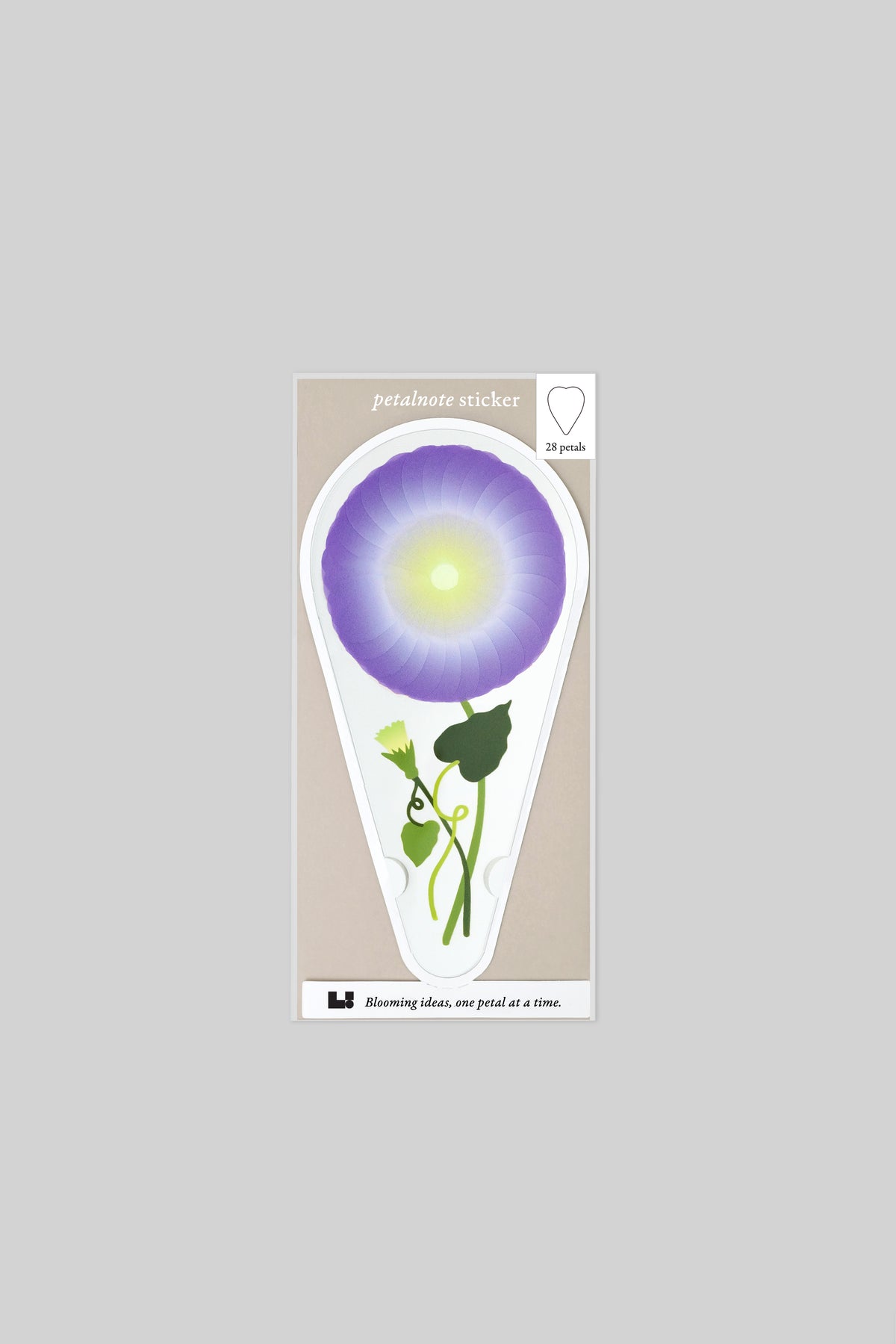 PETALNOTE — MORNING GLORY