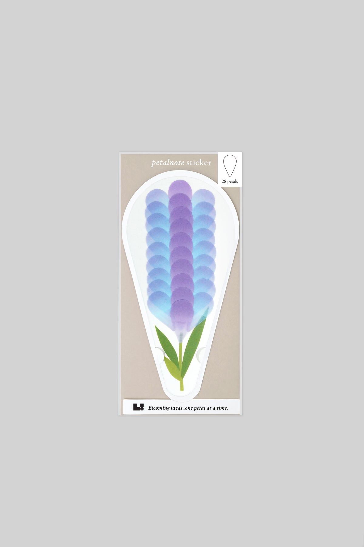 PETALNOTE — LUPINE