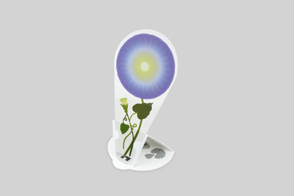 PETALNOTE — MORNING GLORY