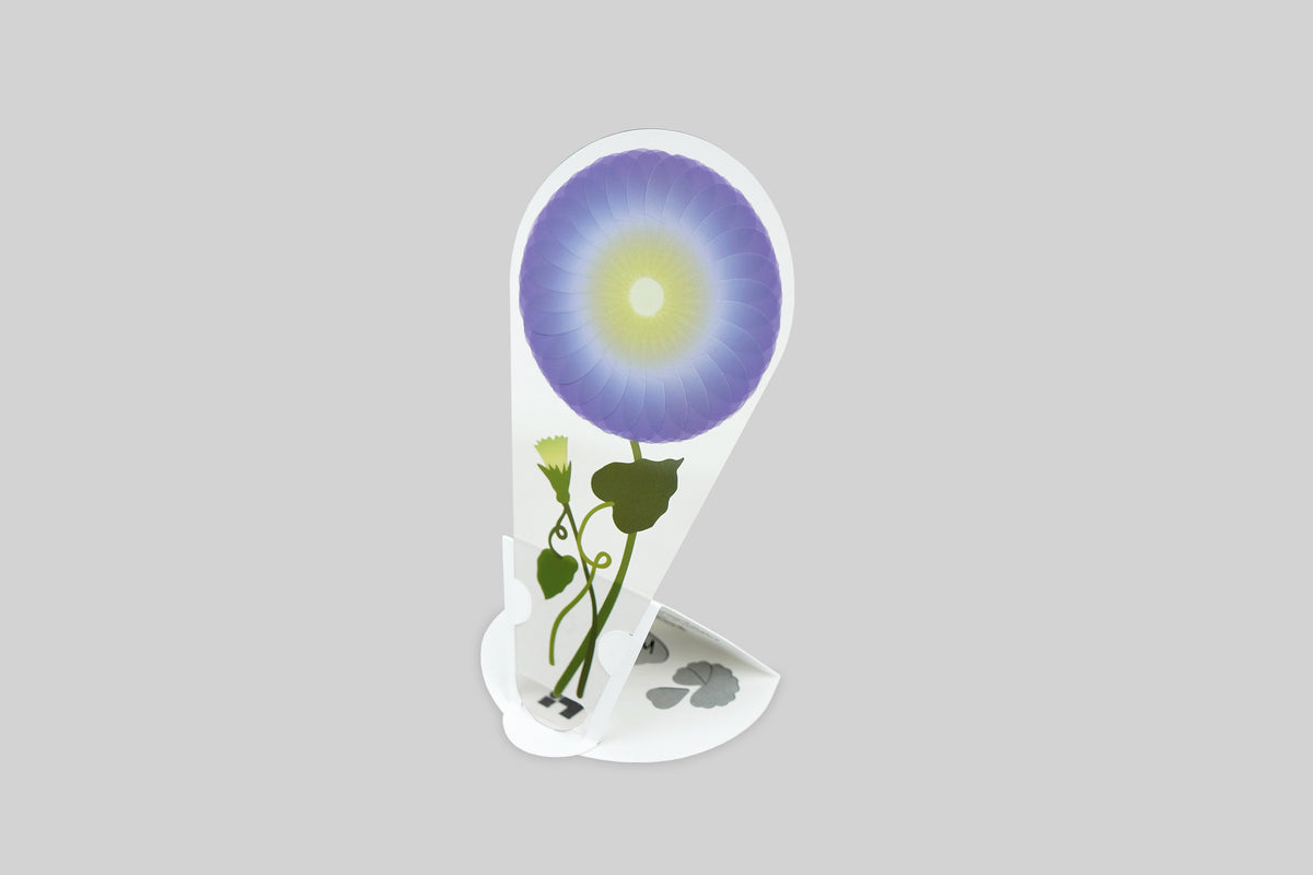 PETALNOTE — MORNING GLORY