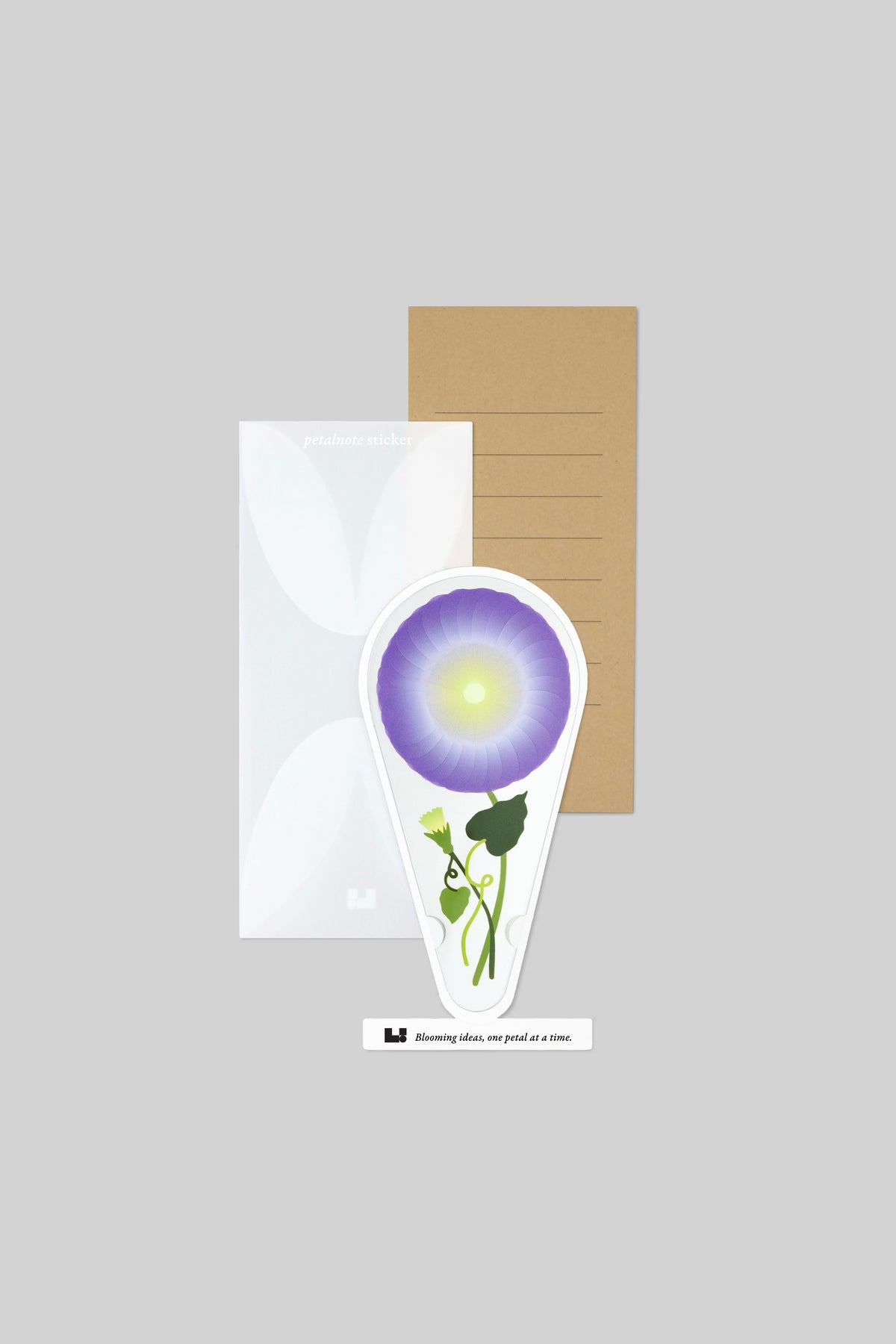 PETALNOTE — MORNING GLORY